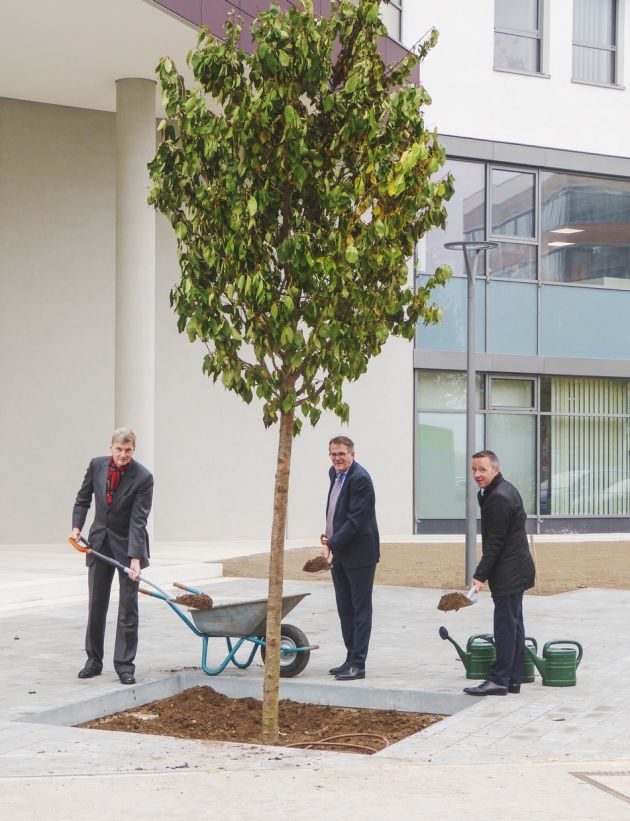 Ein Kirschbaum für die Pfandbriefbank